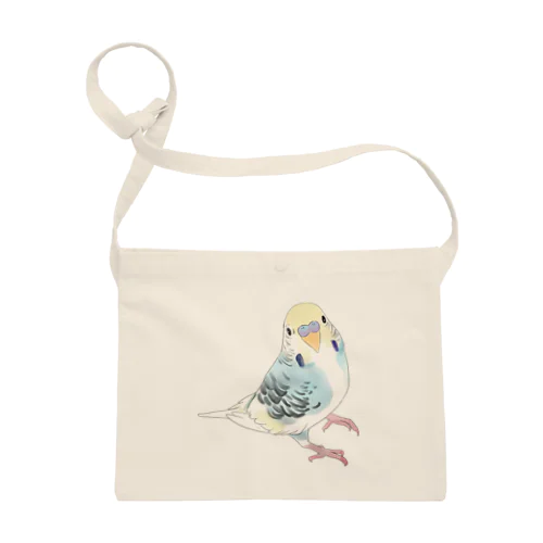 見つめる七色セキセイインコちゃん【まめるりはことり】 Sacoche