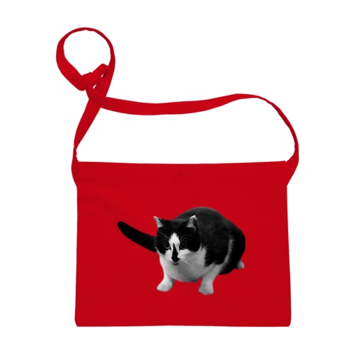猫のハナちゃん Sacoche