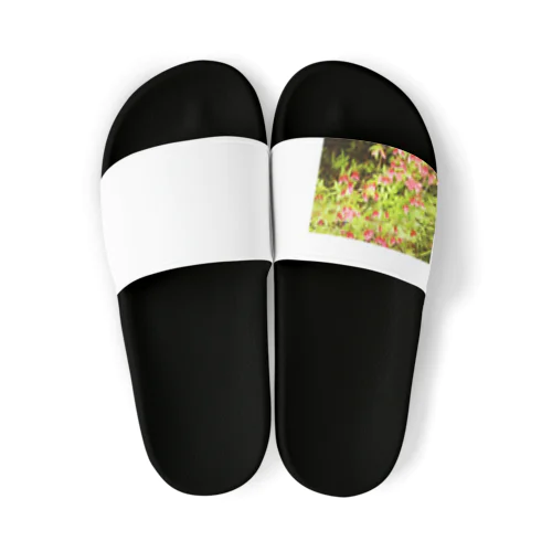 帰り道のお花 Sandals