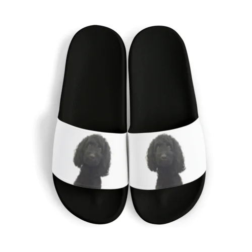 黒いトイプードル Sandals