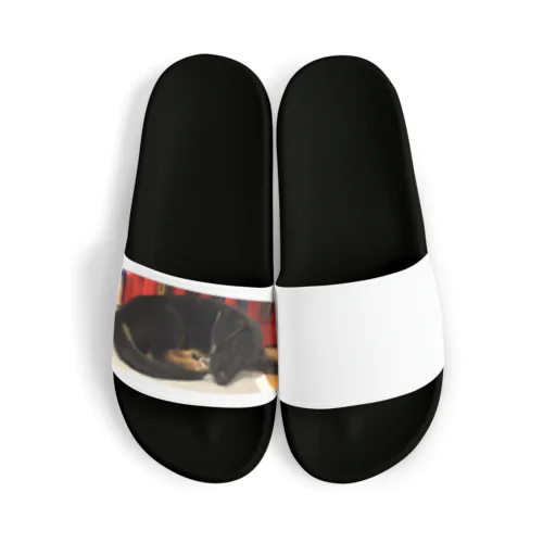 寝てる犬 Sandals
