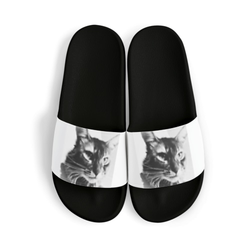 ソマリ猫パスカル　モノトーン Sandals