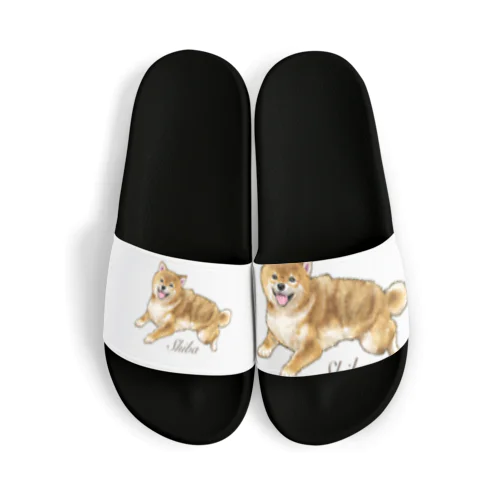 柴犬　イラストグッズ Sandals