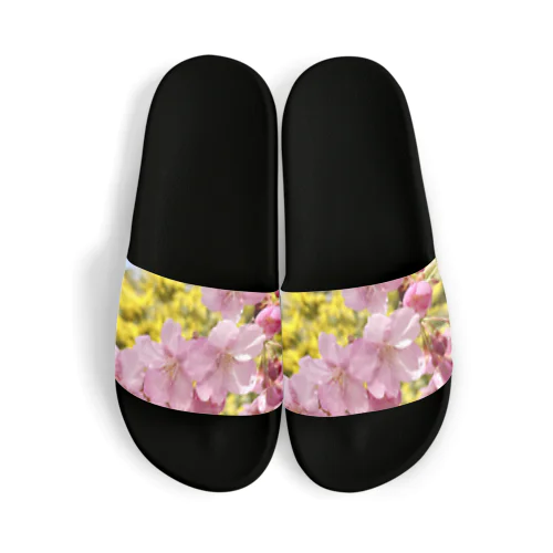 河津桜×ミモザ  Sandals