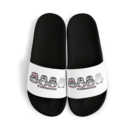 ピコスフェニスカス(よこ) Sandals