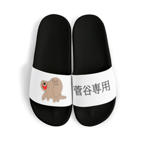 sugaya dog Sandals