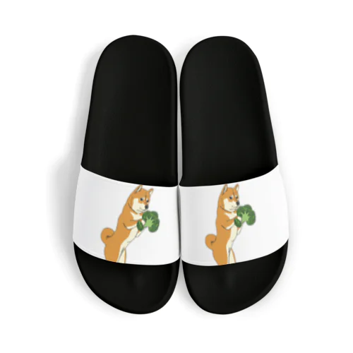 パンプアップ柴Hachi（ブロッコリーver） Sandals