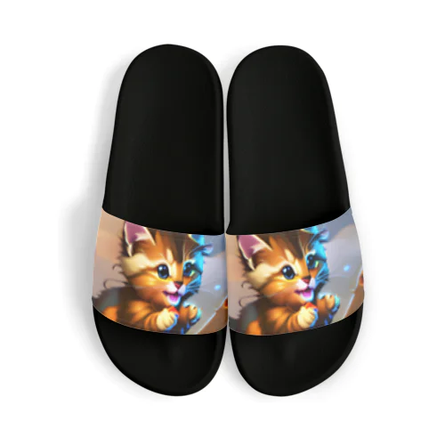 威嚇したのに可愛い子猫 Sandals