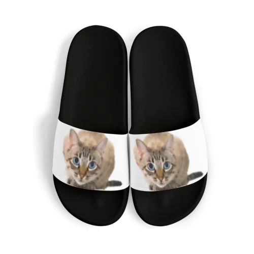 ねこちゃん Sandals