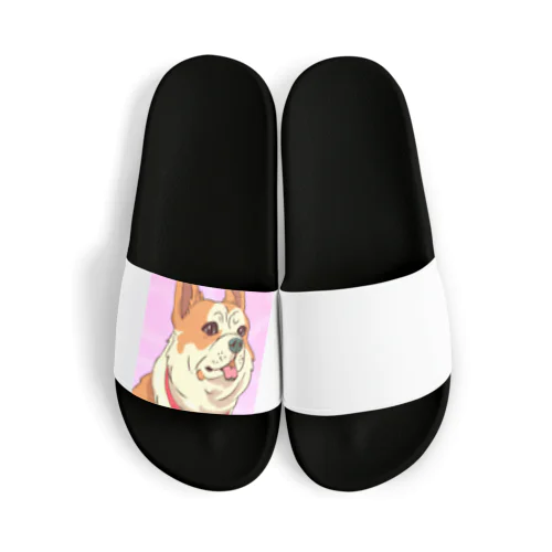 人懐こい犬 Sandals