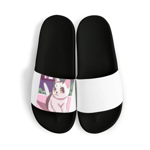 白茶ハーフの可愛い子猫グッズ Sandals