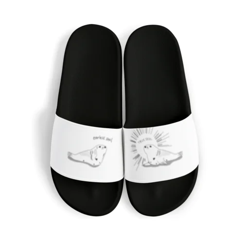 Gray Seal 1 Sandals