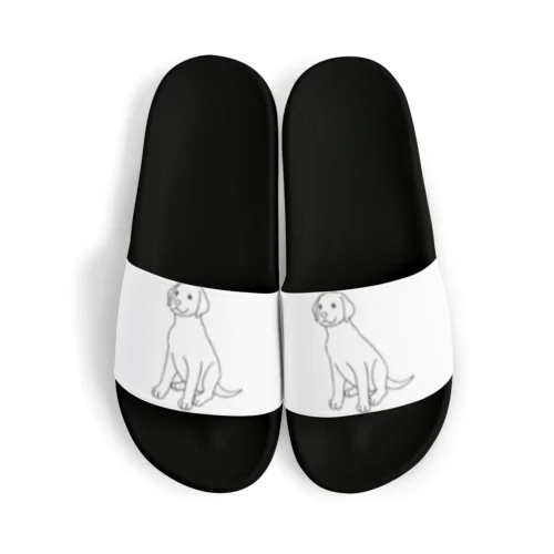 Labrador 線画 グッズ Sandals