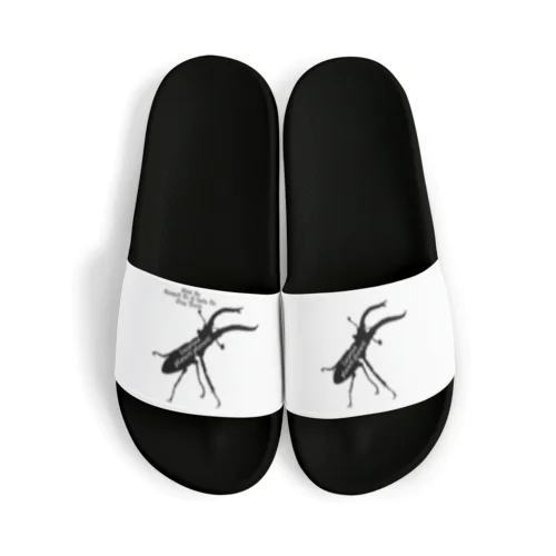 プラネットミヤマクワガタ時々国産ミヤマ(Black) Sandals