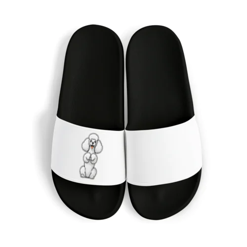ホワイトカラーのプードル（ちんちんポーズ） Sandals