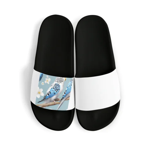 かわいいセキセイインコのイラストグッズ Sandals