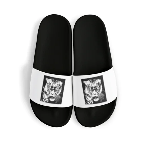 ブルース・リー先生 お気に入りの寅 🐯 Sandals