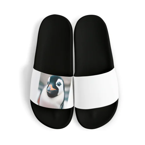 ペンギンくん(・⊝・) Sandals