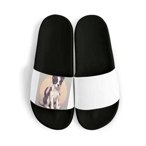 Moon dog Sandals