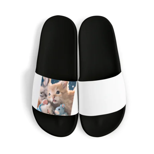 ぬいぐるみと猫ちゃんのショット Sandals