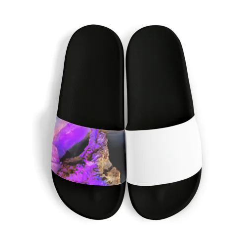 紫の洞窟 Sandals