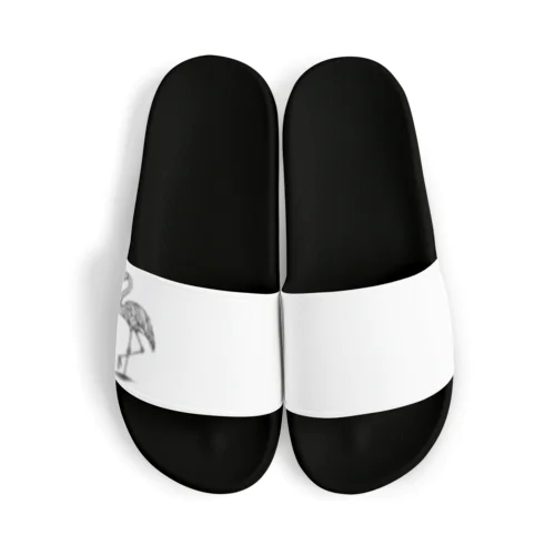 ジオフラミンゴ Sandals
