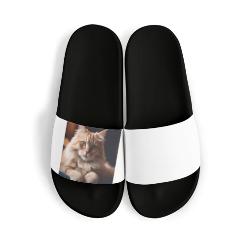 ふんわり猫 Sandals
