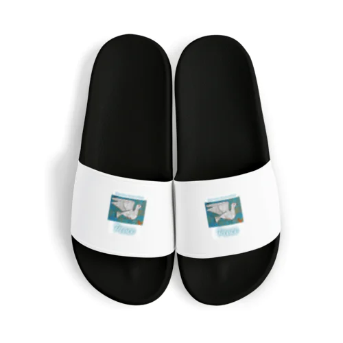 Peace　平和の鳩 Sandals