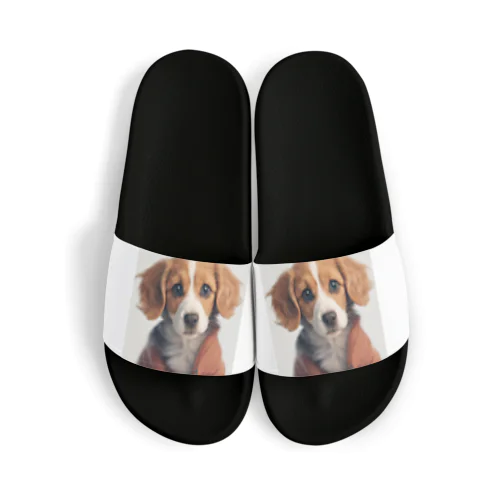 かわいい　犬 Sandals