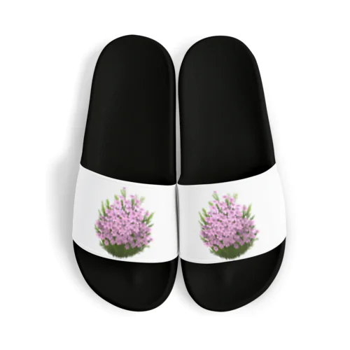 春の花 Sandals