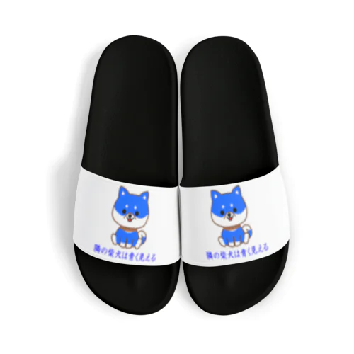 にゃんこ王子 隣の柴犬は青く見える Sandals