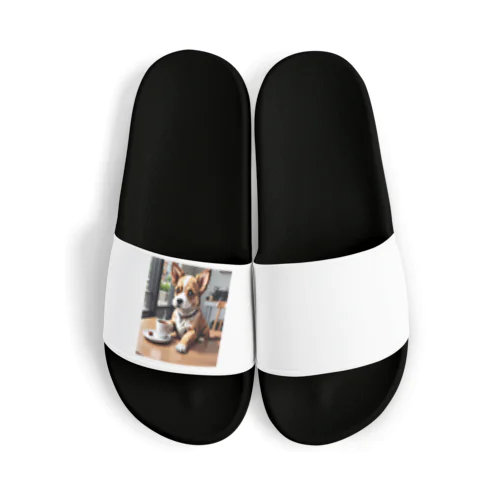 coffee dog Sandals