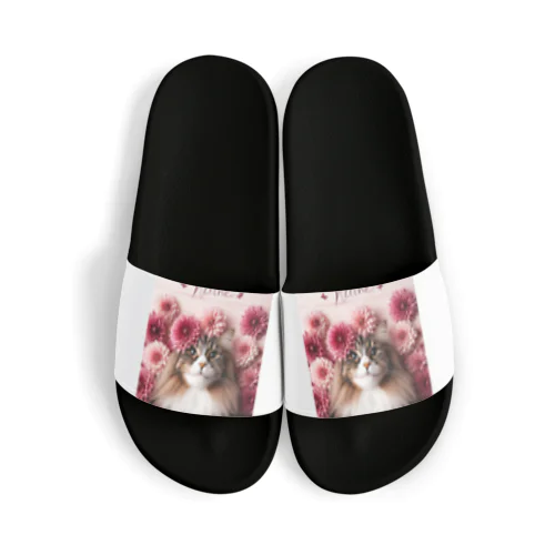 猫とダリア Sandals