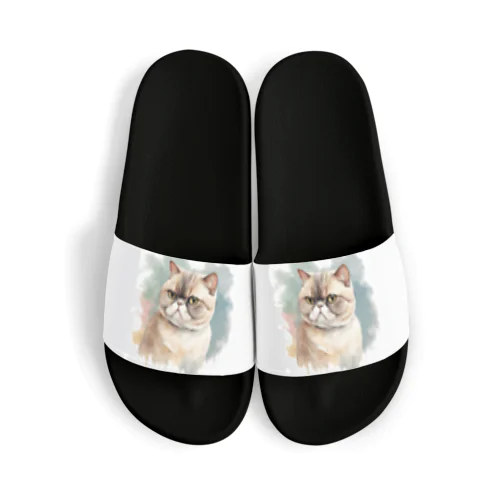 猫　ストリートアート風 Sandals