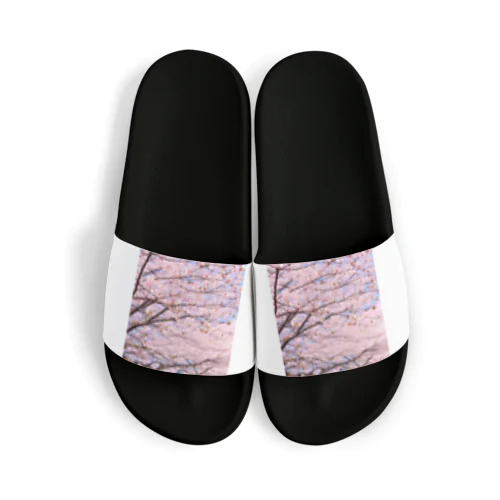 美しき桜 Sandals