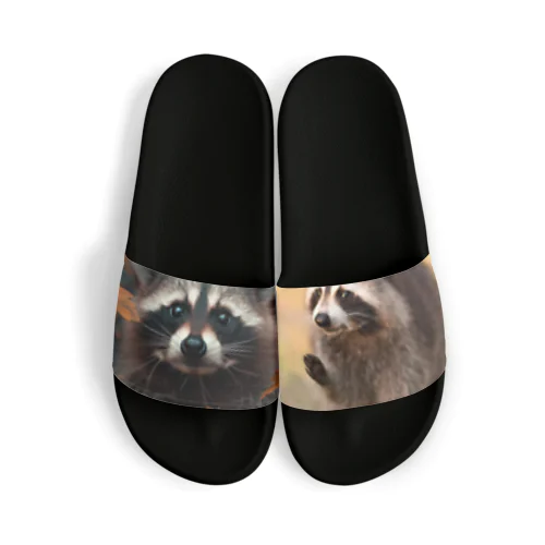 Raccoon Cool Planet Sandals