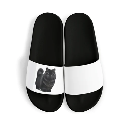 黒猫 Sandals