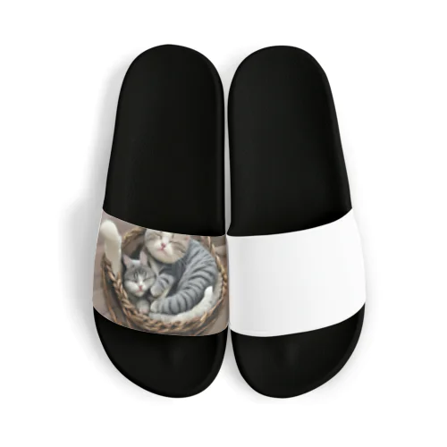 cute cat sleeping Sandals