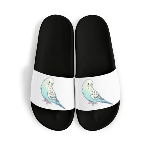 青色の可愛いセキセイインコ Sandals