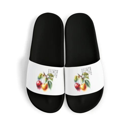 夏の果実　さくらんぼ(黒文字) Sandals