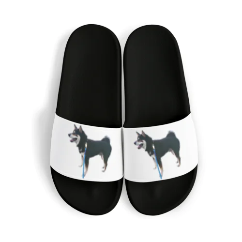 黒芝犬 ジャック Sandals