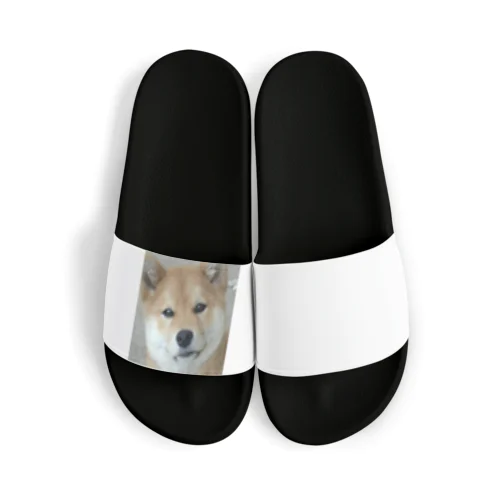 UCHINOINU Sandals