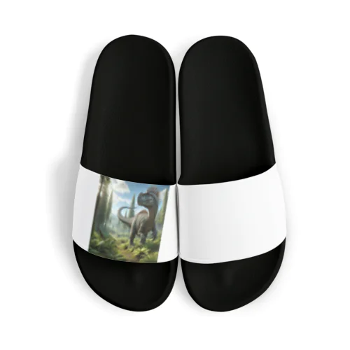 時を超えた守護者 Sandals