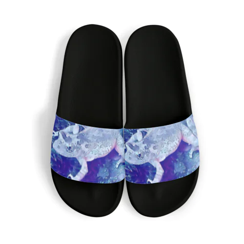 Fantastic Frog -Tanzanite Version- Sandals