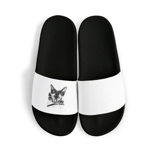 リアル黒猫(仔ねこ1) Sandals