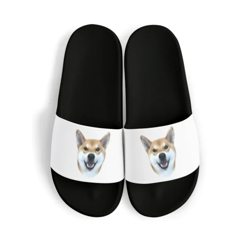 柴犬 かんたろう(油絵) Sandals