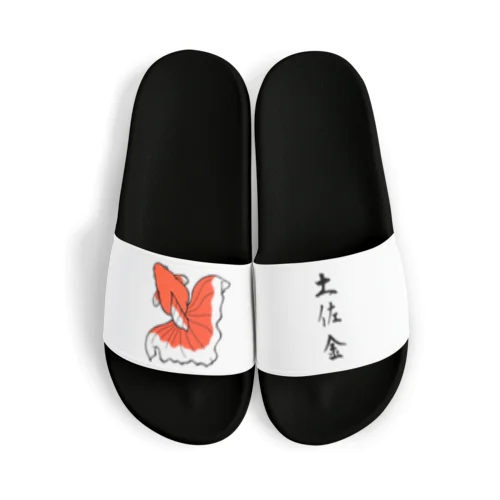 土佐金 Sandals