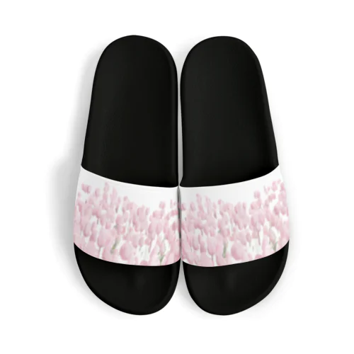 Tulip field pink Sandals