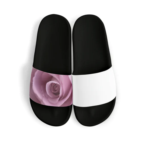 rose Sandals