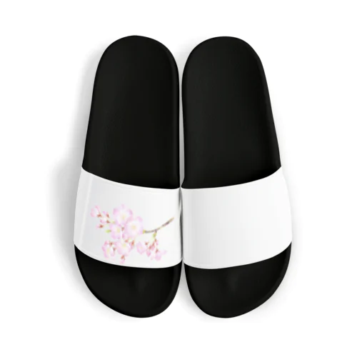 sakura サンダル Sandals